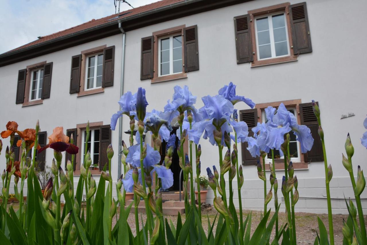Ferme Les Iris Lejlighed Issenheim Eksteriør billede